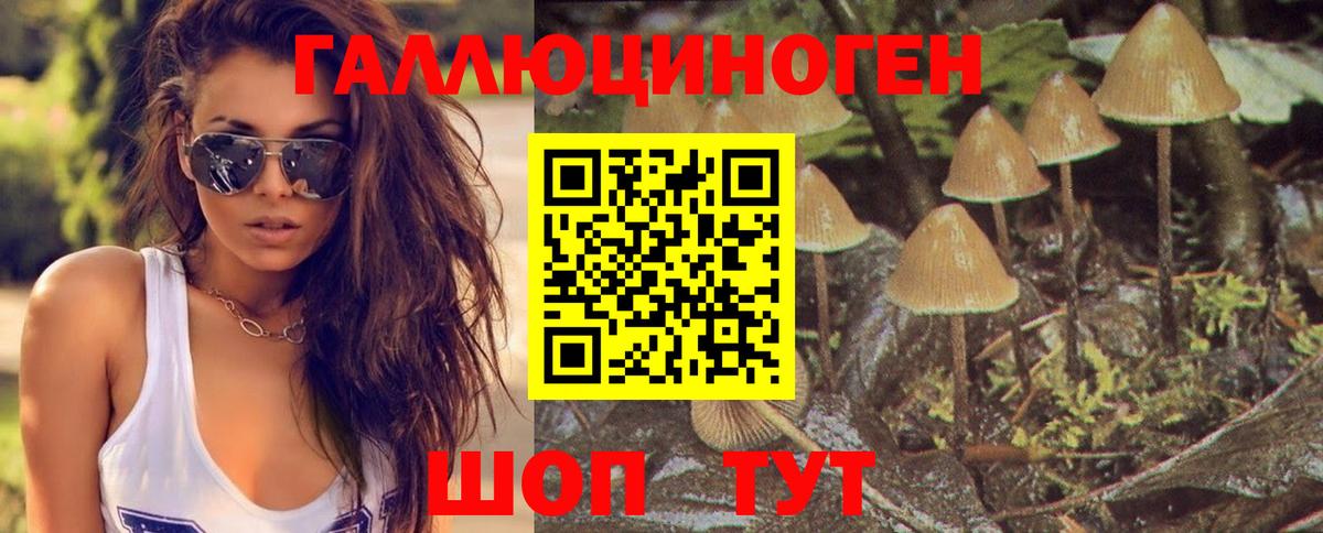 Псилоцибиновые грибы Psilocybe  Вход с VPN  Астрахань 