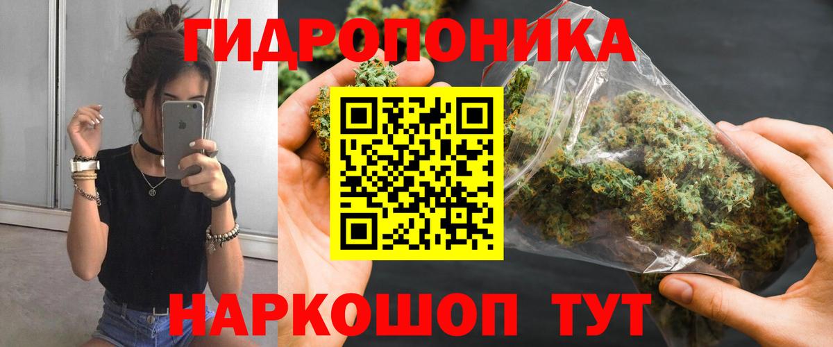 Канабис план Астрахань