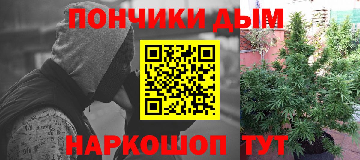 Астрахань  Конопля тримм  Марихуана OG Kush  Вход с VPN  Бошки марихуана гибрид 